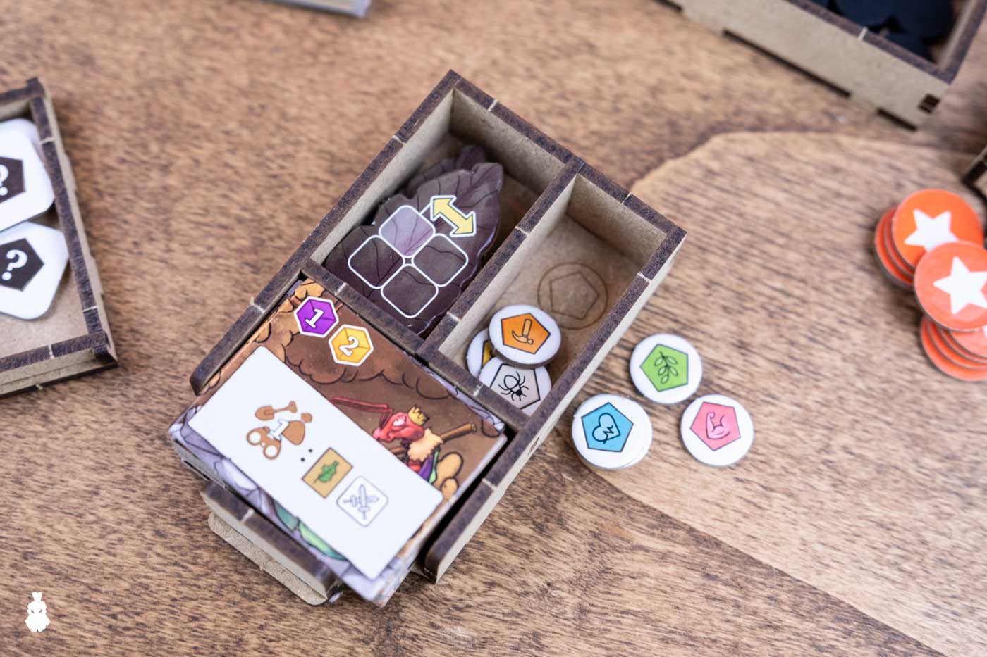 Ants - Organizer